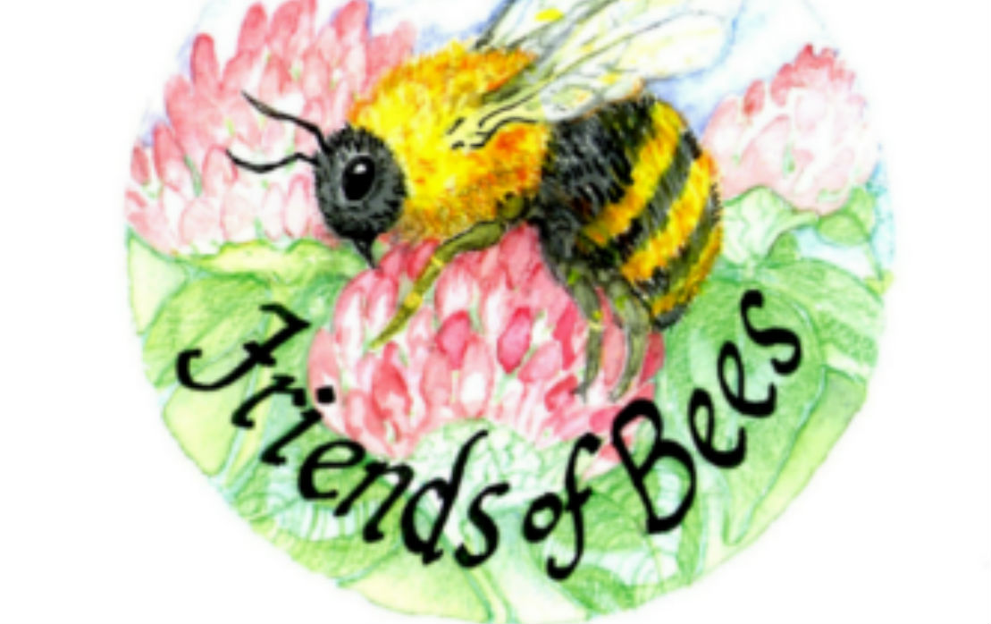 Bee Movie by Susan Korman