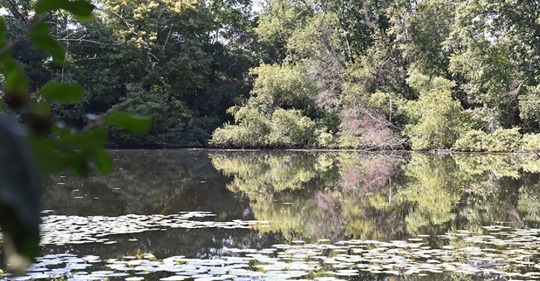 WEtlands