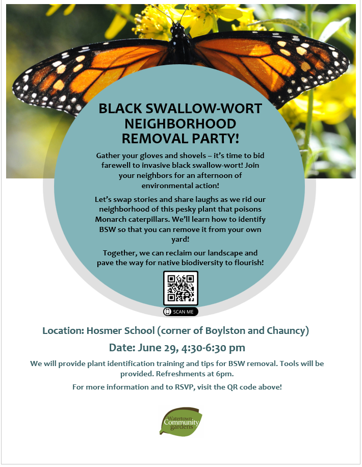 Monarch butterfly and text for swallow-wort removal