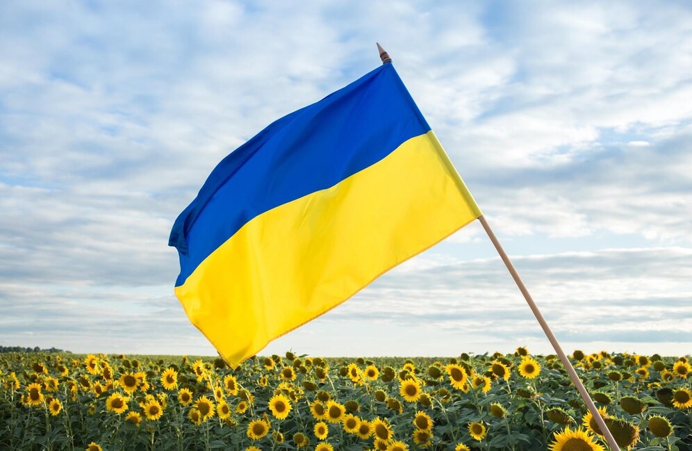 Ukraine's Blue and Yellow flag over a field of sunflowers